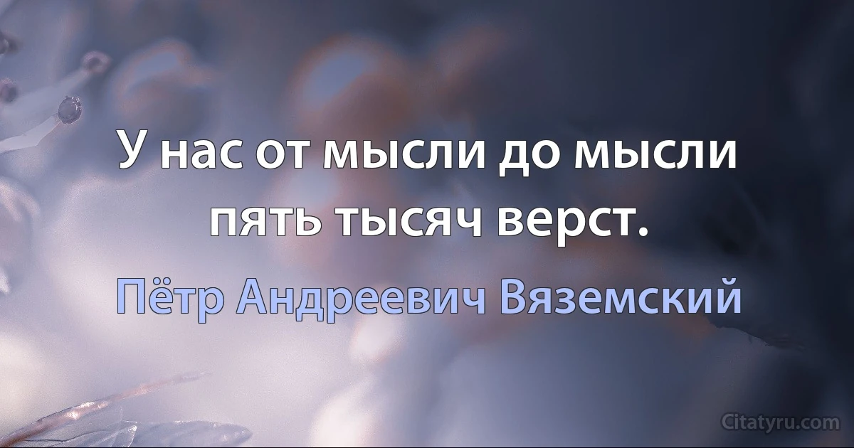 У нас от мысли до мысли пять тысяч верст. (Пётр Андреевич Вяземский)