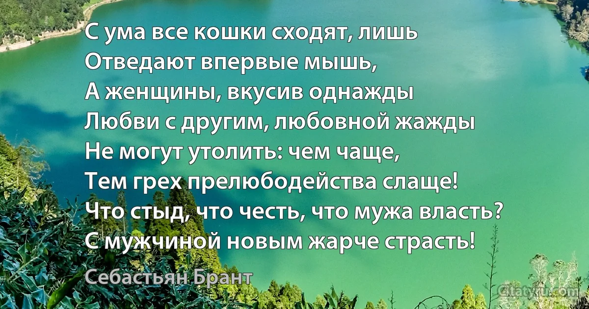 С ума все кошки сходят, лишь
Отведают впервые мышь,
А женщины, вкусив однажды
Любви с другим, любовной жажды
Не могут утолить: чем чаще,
Тем грех прелюбодейства слаще!
Что стыд, что честь, что мужа власть?
С мужчиной новым жарче страсть! (Себастьян Брант)