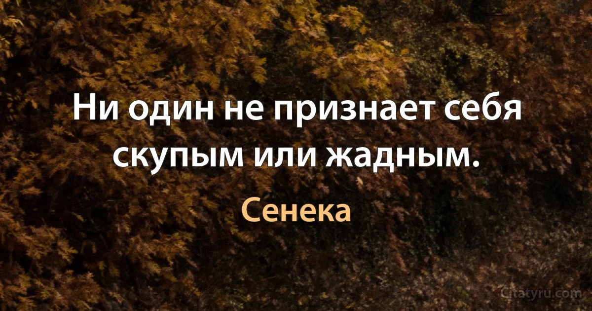 Ни один не признает себя скупым или жадным. (Сенека)