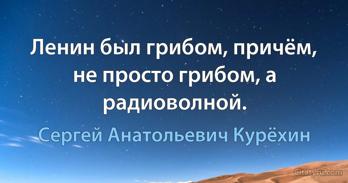 Ленин был грибом, причём, не просто грибом, а радиоволной. (Сергей Анатольевич Курёхин)