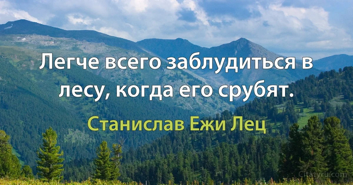 Легче всего заблудиться в лесу, когда его срубят. (Станислав Ежи Лец)