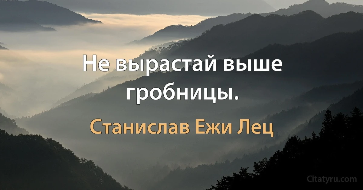 Не вырастай выше гробницы. (Станислав Ежи Лец)