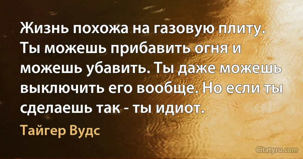 Жизнь похожа на газовую плиту. Ты можешь прибавить огня и можешь убавить. Ты даже можешь выключить его вообще. Но если ты сделаешь так - ты идиот. (Тайгер Вудс)