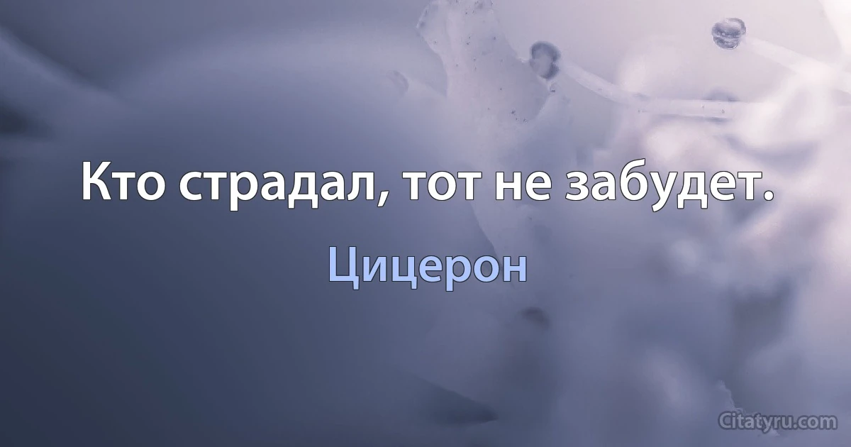 Кто страдал, тот не забудет. (Цицерон)