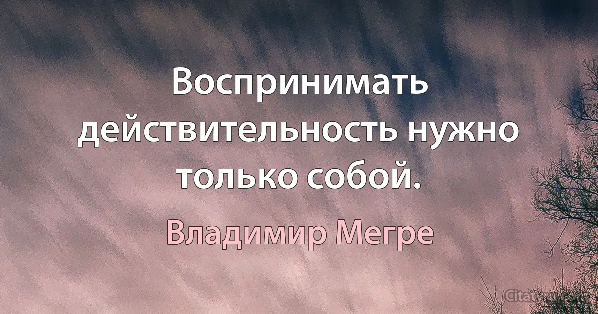 Воспринимать действительность нужно только собой. (Владимир Мегре)