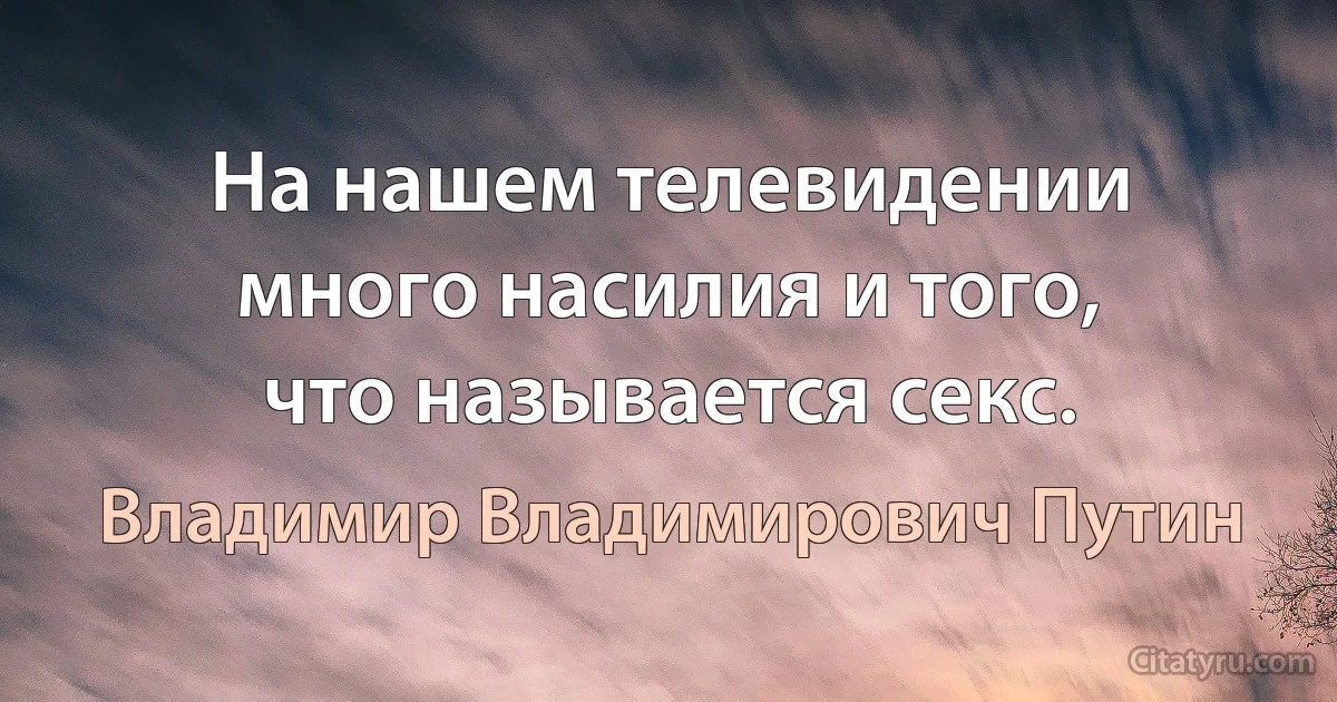 На нашем телевидении много насилия и того, что называется секс. (Владимир Владимирович Путин)