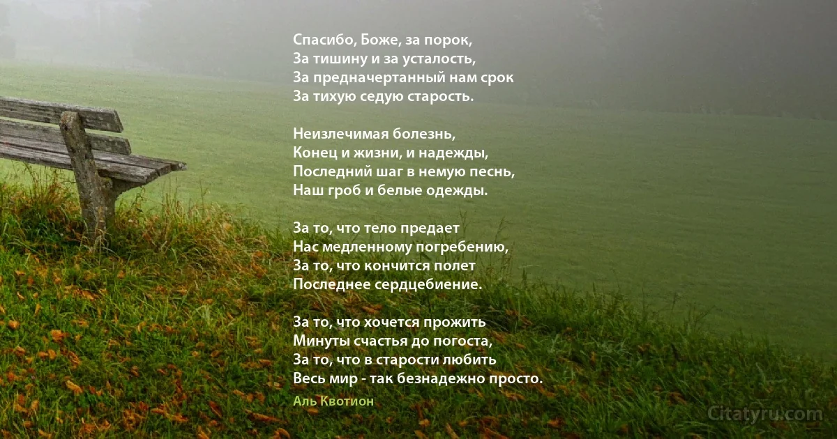 Спасибо, Боже, за порок,
За тишину и за усталость,
За предначертанный нам срок
За тихую седую старость.

Неизлечимая болезнь,
Конец и жизни, и надежды,
Последний шаг в немую песнь,
Наш гроб и белые одежды.

За то, что тело предает
Нас медленному погребению,
За то, что кончится полет
Последнее сердцебиение.

За то, что хочется прожить
Минуты счастья до погоста,
За то, что в старости любить
Весь мир - так безнадежно просто. (Аль Квотион)