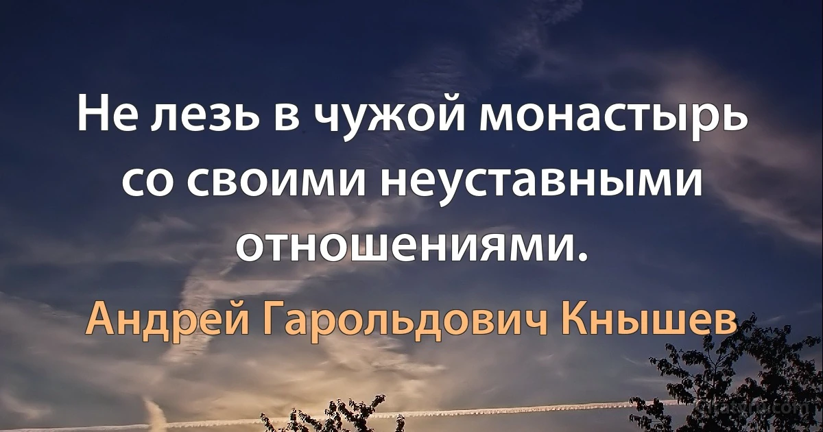 Не лезь в чужой монастырь со своими неуставными отношениями. (Андрей Гарольдович Кнышев)