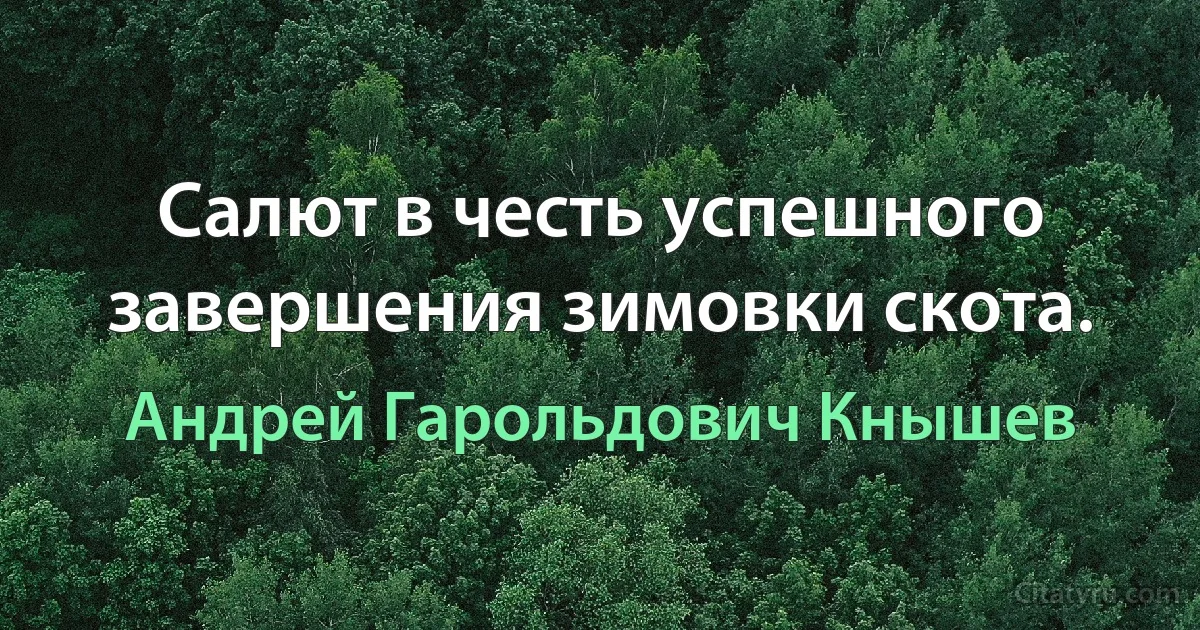 Салют в честь успешного завершения зимовки скота. (Андрей Гарольдович Кнышев)