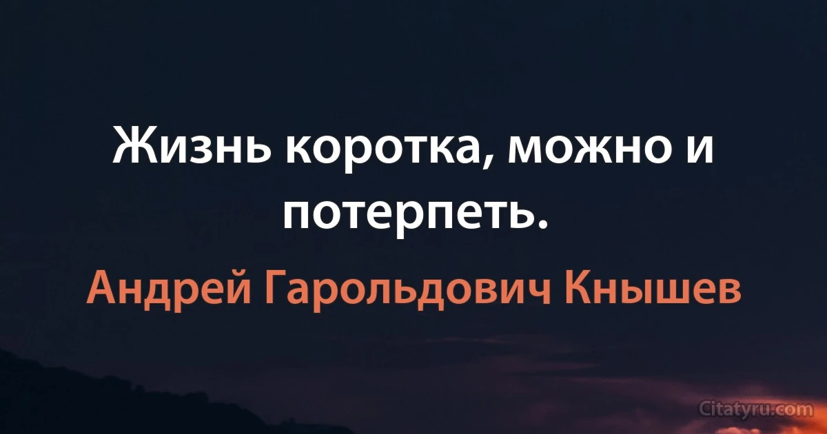 Жизнь коротка, можно и потерпеть. (Андрей Гарольдович Кнышев)