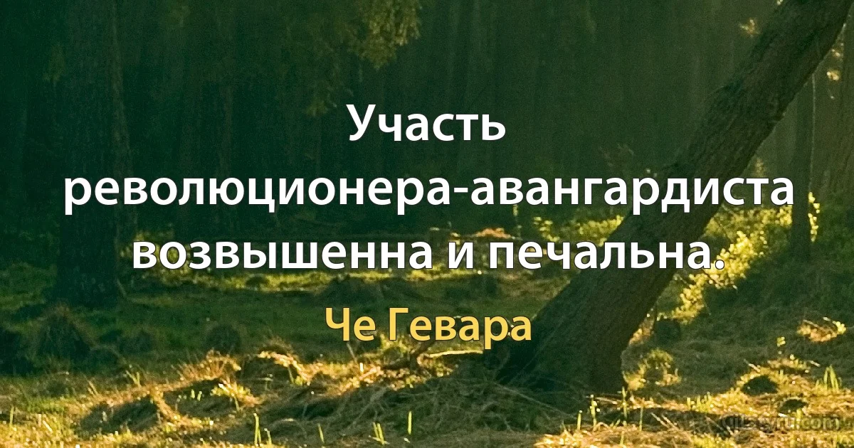 Участь революционера-авангардиста возвышенна и печальна. (Че Гевара)