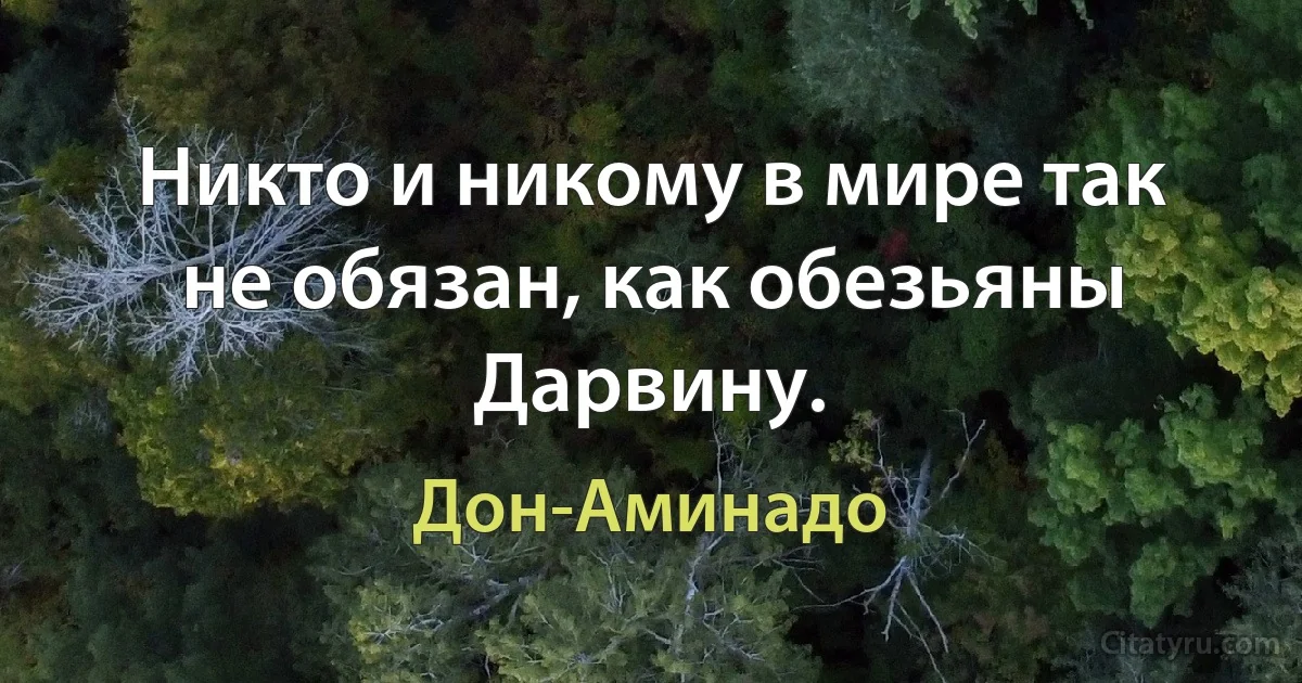 Никто и никому в мире так не обязан, как обезьяны Дарвину. (Дон-Аминадо)