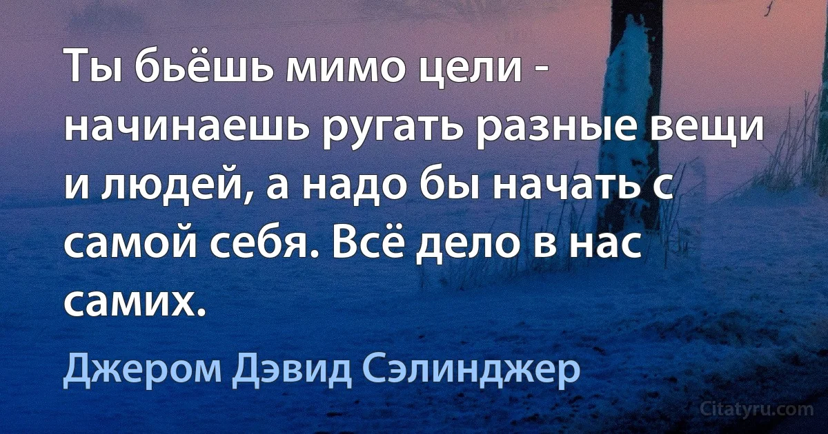 Ты бьёшь мимо цели - начинаешь ругать разные вещи и людей, а надо бы начать с самой себя. Всё дело в нас самих. (Джером Дэвид Сэлинджер)