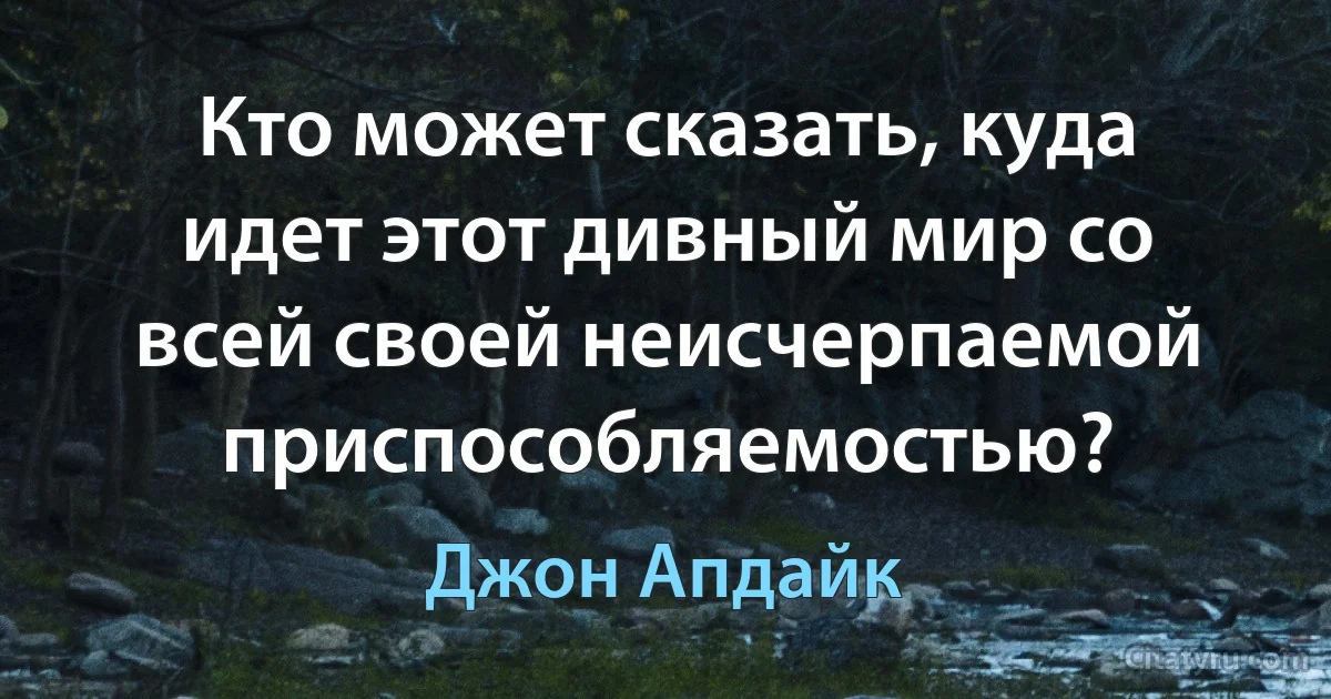 Кто может сказать, куда идет этот дивный мир со всей своей неисчерпаемой приспособляемостью? (Джон Апдайк)