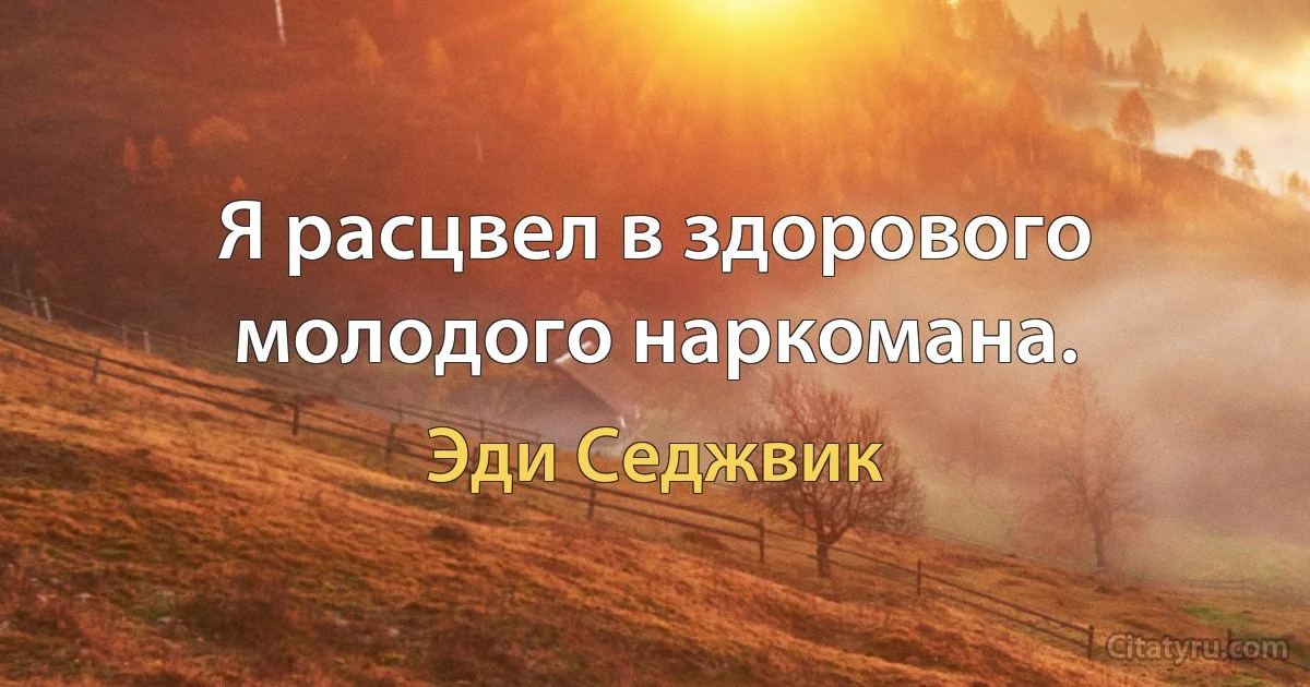 Я расцвел в здорового молодого наркомана. (Эди Седжвик)