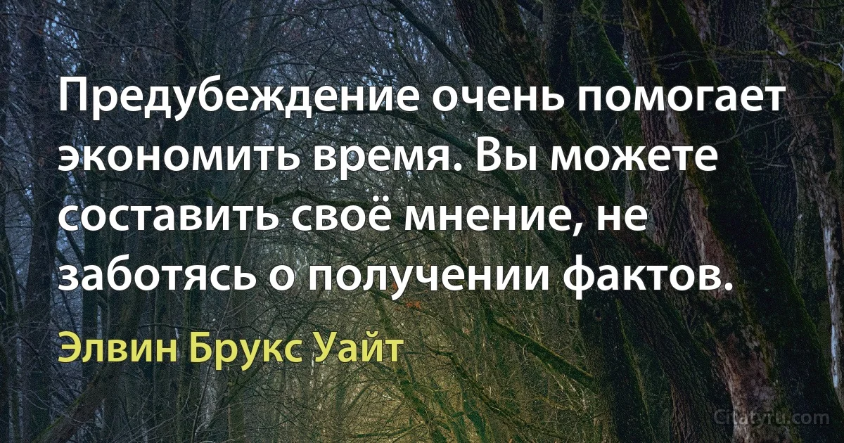 Предубеждение очень помогает экономить время. Вы можете составить своё мнение, не заботясь о получении фактов. (Элвин Брукс Уайт)