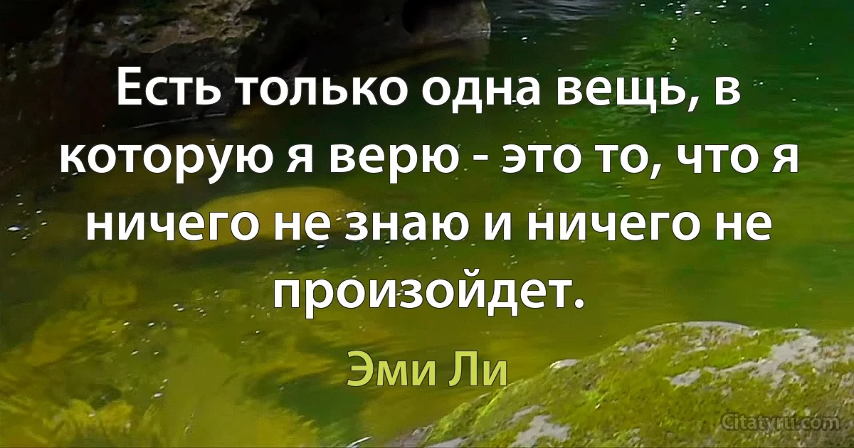 Есть только одна вещь, в которую я верю - это то, что я ничего не знаю и ничего не произойдет. (Эми Ли)