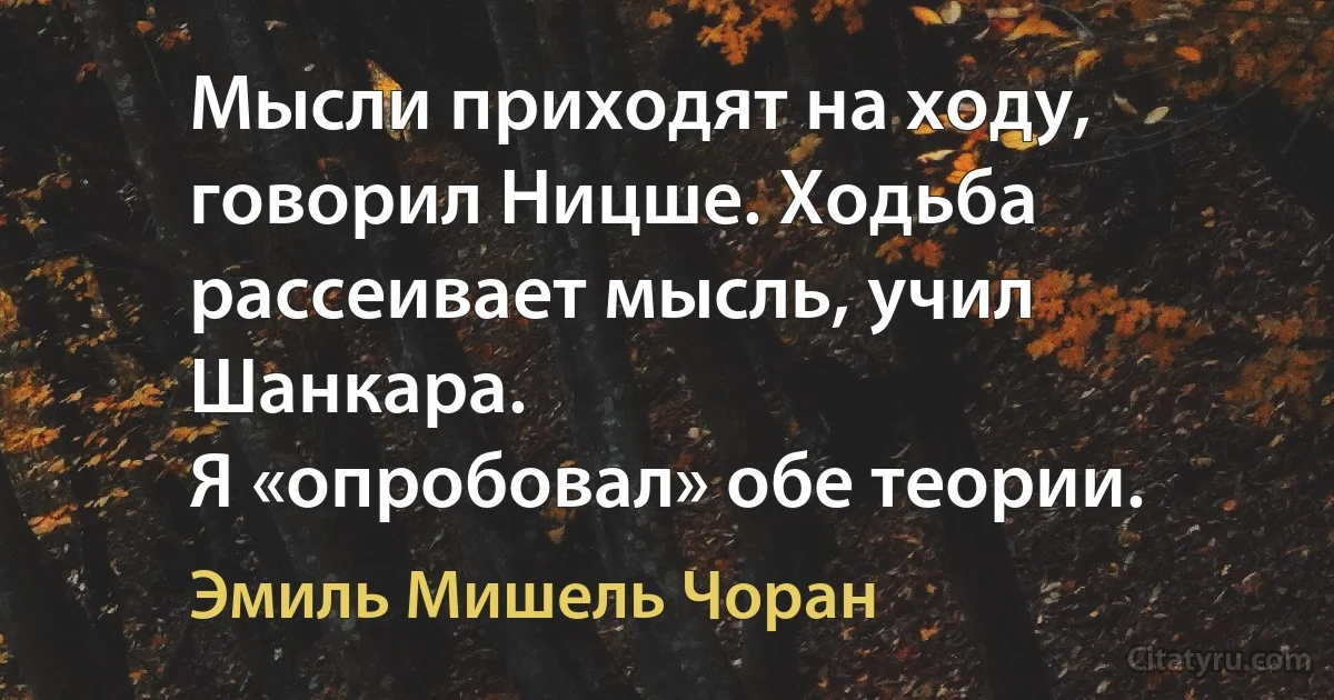 Мысли приходят на ходу, говорил Ницше. Ходьба рассеивает мысль, учил Шанкара.
Я «опробовал» обе теории. (Эмиль Мишель Чоран)