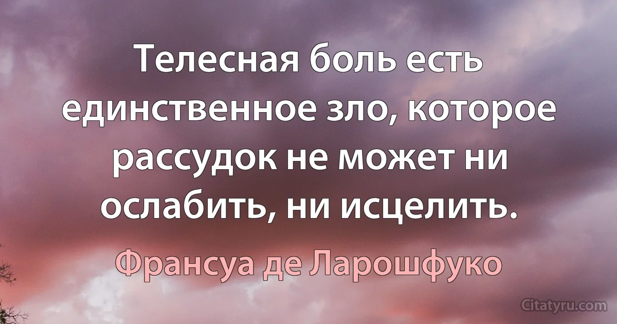 Телесная боль есть единственное зло, которое рассудок не может ни ослабить, ни исцелить. (Франсуа де Ларошфуко)