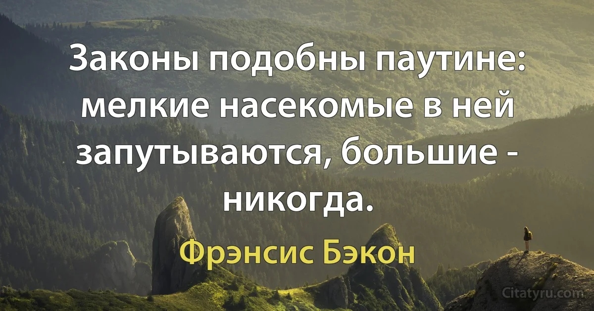 Законы подобны паутине: мелкие насекомые в ней запутываются, большие - никогда. (Фрэнсис Бэкон)