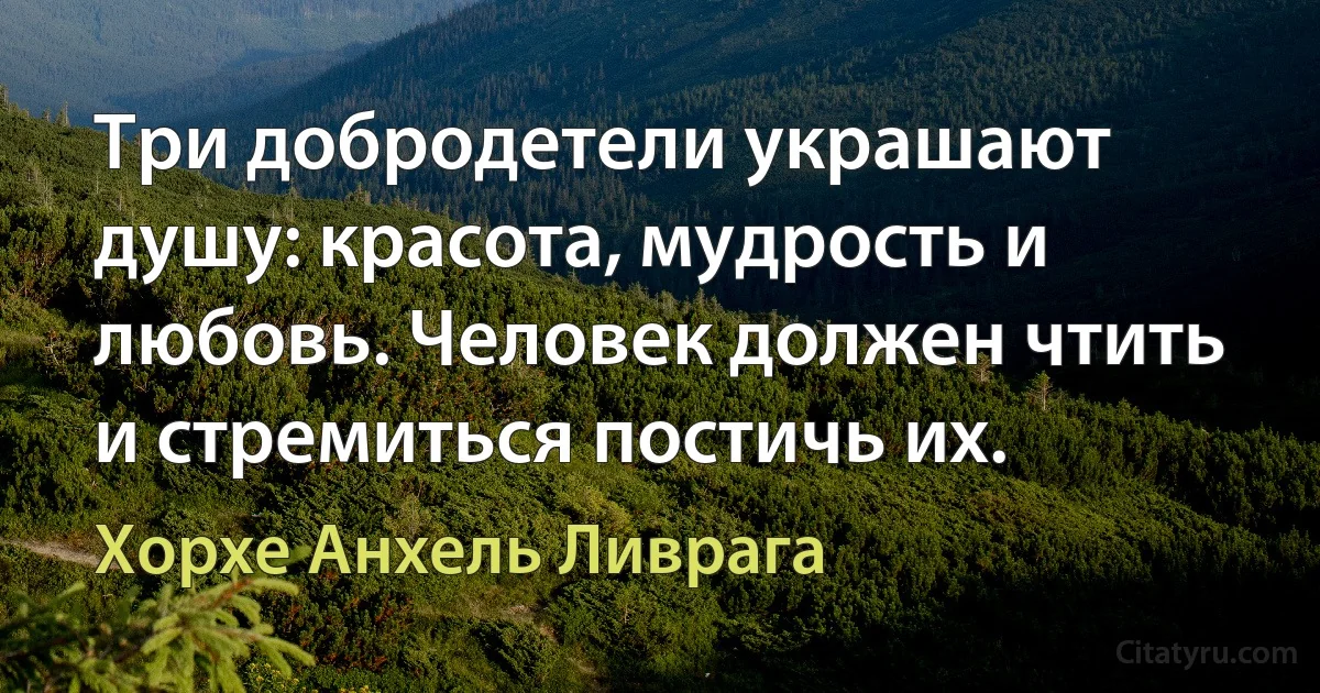 Три добродетели украшают душу: красота, мудрость и любовь. Человек должен чтить и стремиться постичь их. (Хорхе Анхель Ливрага)