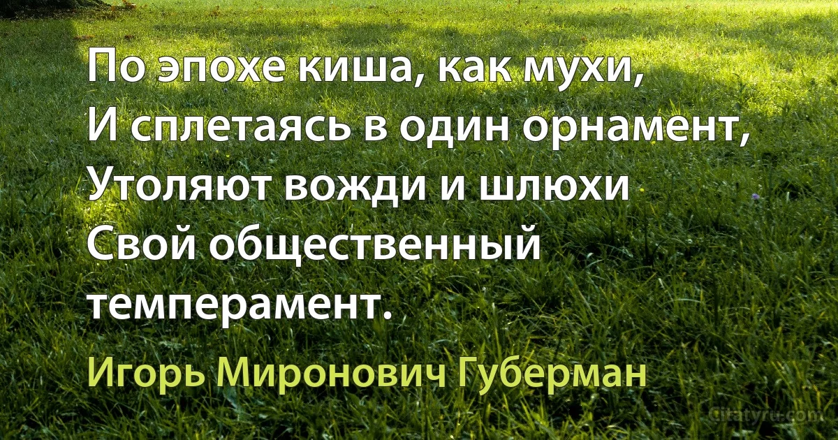 По эпохе киша, как мухи,
И сплетаясь в один орнамент,
Утоляют вожди и шлюхи
Свой общественный темперамент. (Игорь Миронович Губерман)