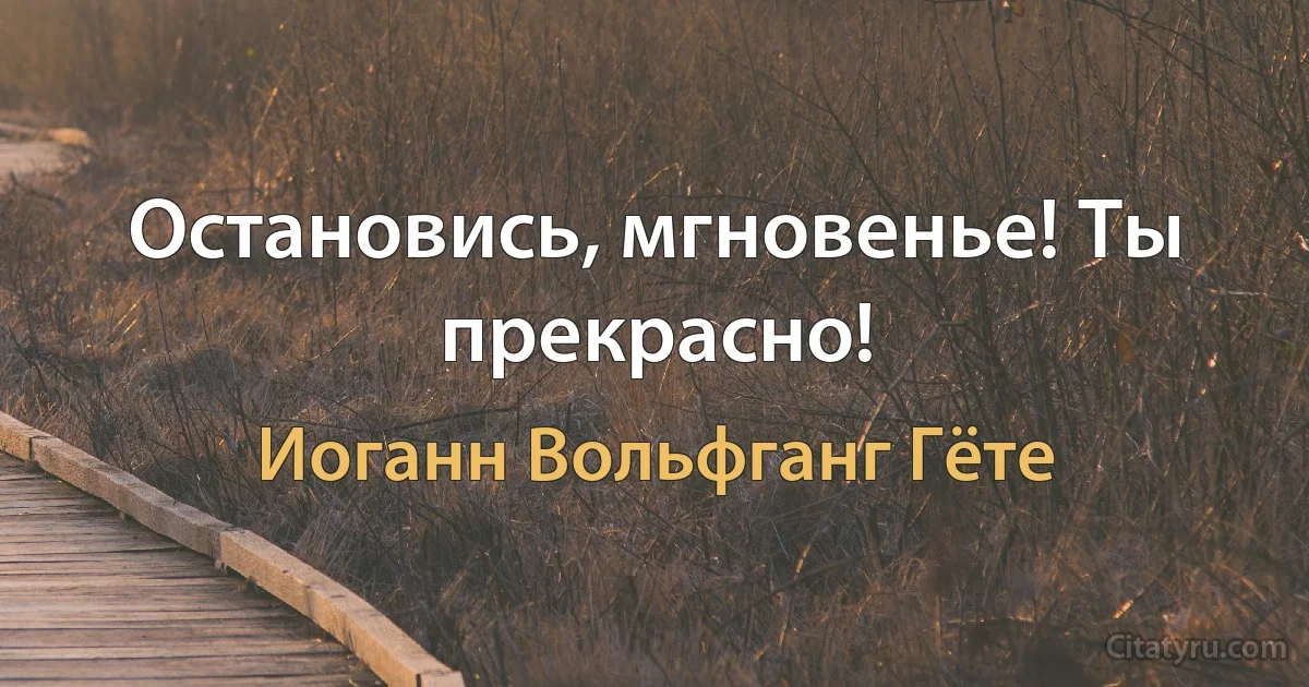 Остановись, мгновенье! Ты прекрасно! (Иоганн Вольфганг Гёте)