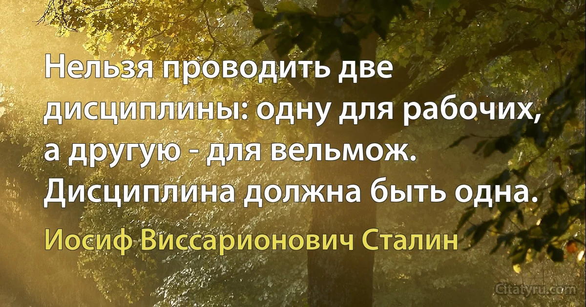 Нельзя проводить две дисциплины: одну для рабочих, а другую - для вельмож. Дисциплина должна быть одна. (Иосиф Виссарионович Сталин)