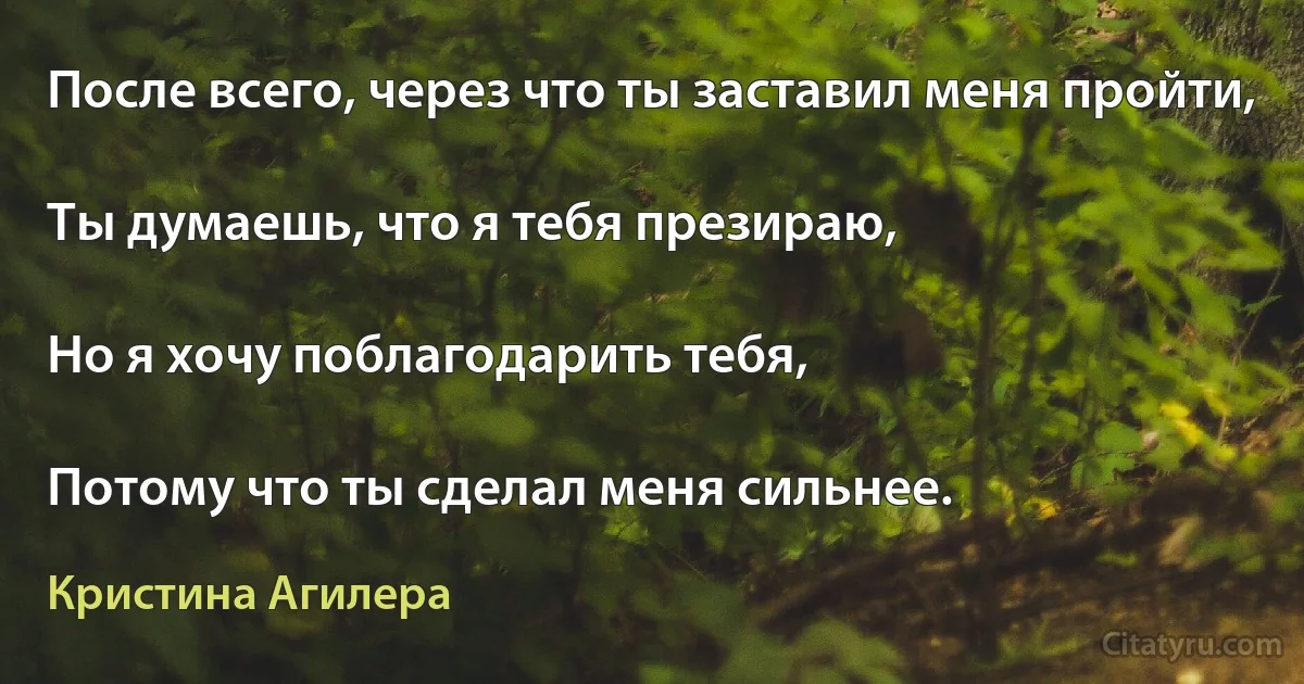 После всего, через что ты заставил меня пройти,

Ты думаешь, что я тебя презираю,

Но я хочу поблагодарить тебя,

Потому что ты сделал меня сильнее. (Кристина Агилера)