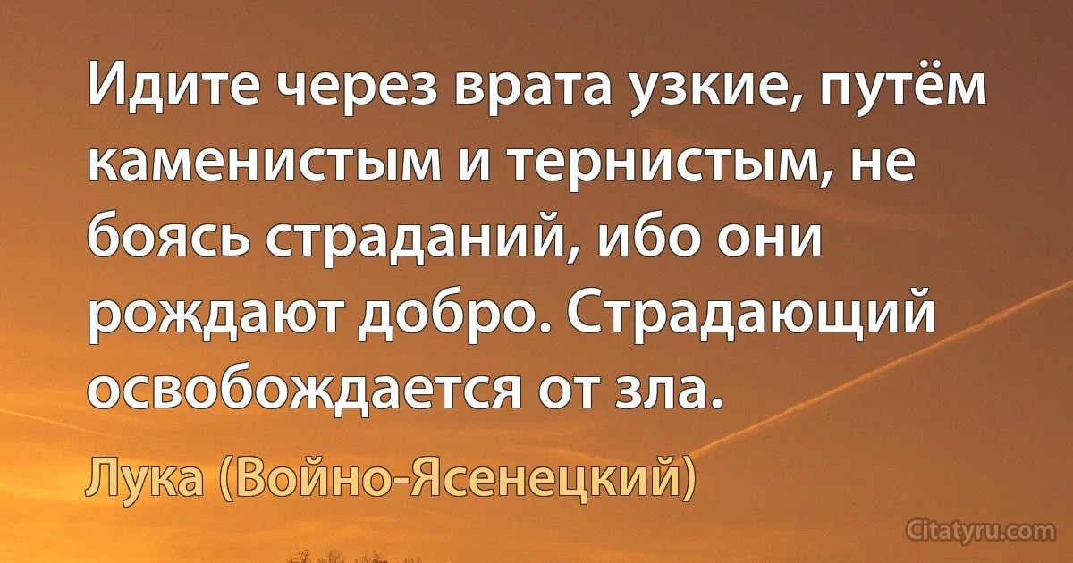 Идите через врата узкие, путём каменистым и тернистым, не боясь страданий, ибо они рождают добро. Страдающий освобождается от зла. (Лука (Войно-Ясенецкий))