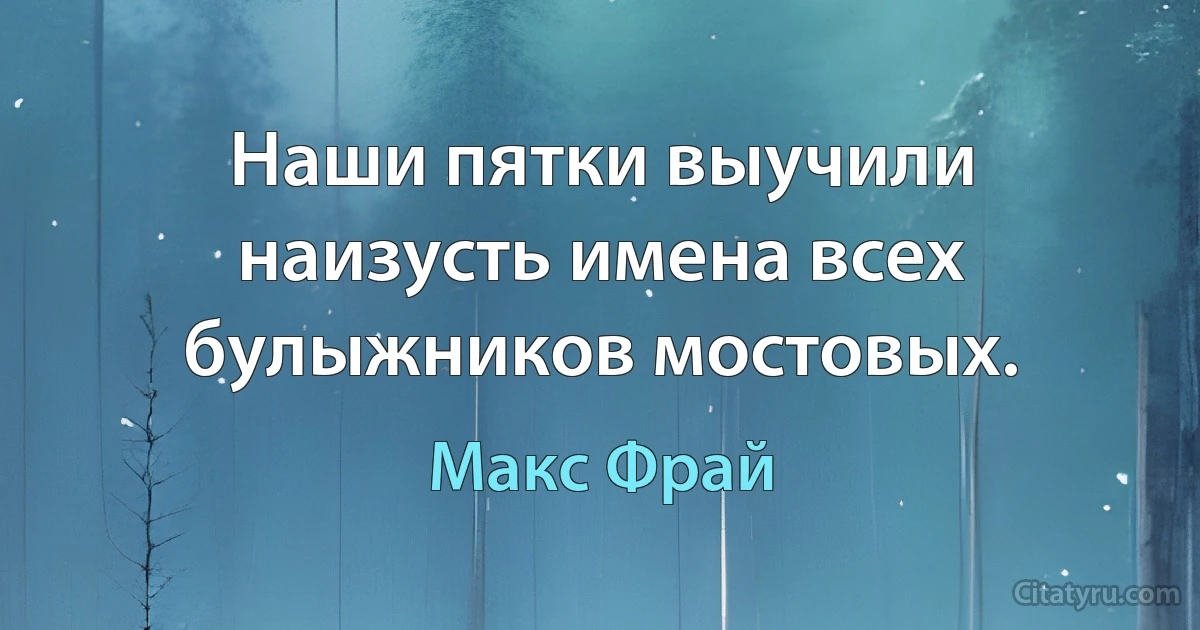 Наши пятки выучили наизусть имена всех булыжников мостовых. (Макс Фрай)