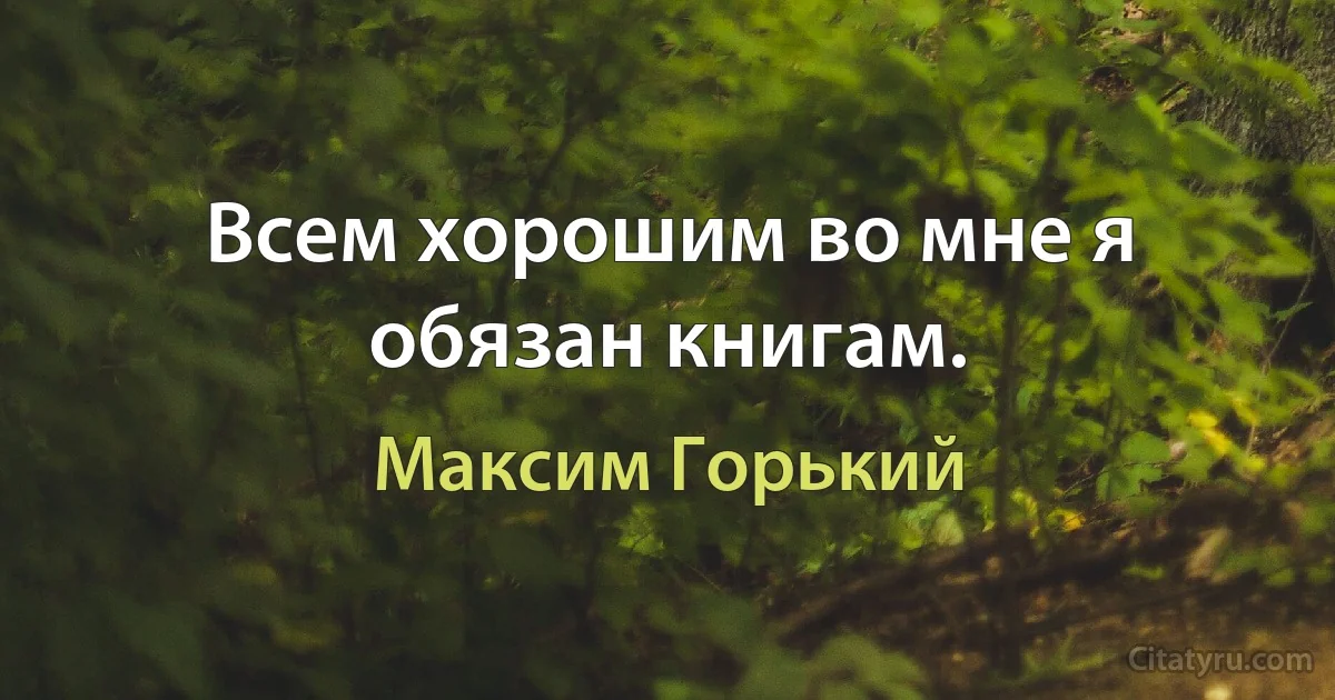 Всем хорошим во мне я обязан книгам. (Максим Горький)