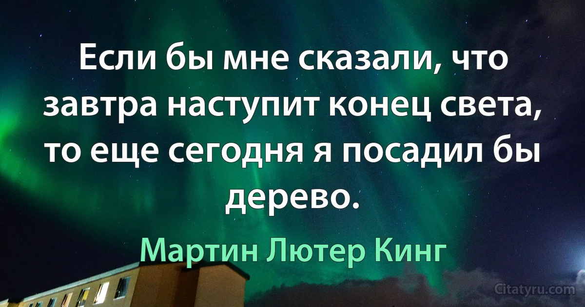 Если бы мне сказали, что завтра наступит конец света, то еще сегодня я посадил бы дерево. (Мартин Лютер Кинг)