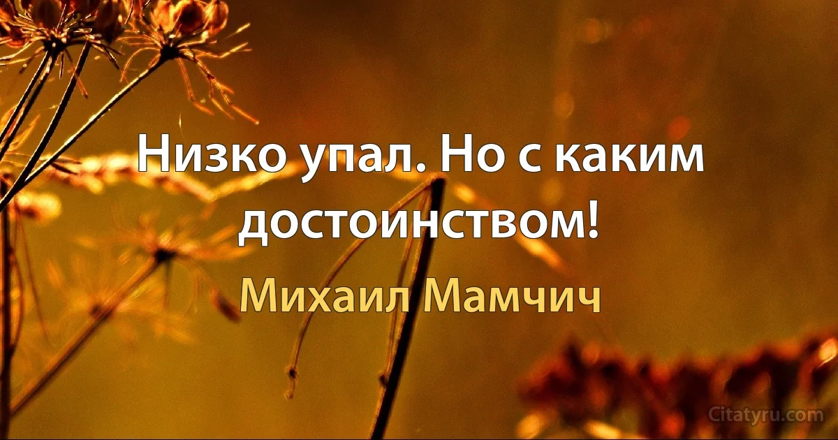 Низко упал. Но с каким достоинством! (Михаил Мамчич)