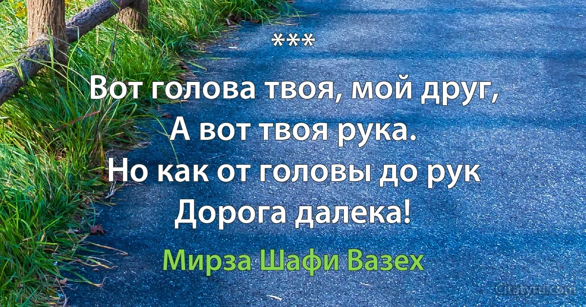 ***
Вот голова твоя, мой друг,
А вот твоя рука.
Но как от головы до рук
Дорога далека! (Мирза Шафи Вазех)