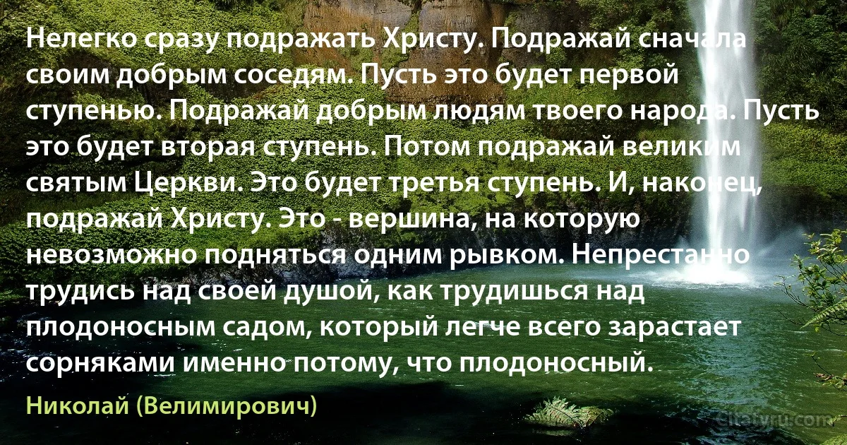 Нелегко сразу подражать Христу. Подражай сначала своим добрым соседям. Пусть это будет первой ступенью. Подражай добрым людям твоего народа. Пусть это будет вторая ступень. Потом подражай великим святым Церкви. Это будет третья ступень. И, наконец, подражай Христу. Это - вершина, на которую невозможно подняться одним рывком. Непрестанно трудись над своей душой, как трудишься над плодоносным садом, который легче всего зарастает сорняками именно потому, что плодоносный. (Николай (Велимирович))