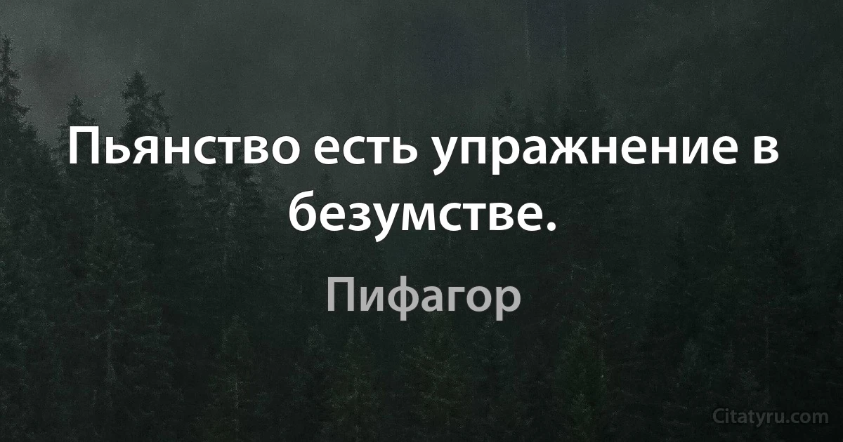 Пьянство есть упражнение в безумстве. (Пифагор)