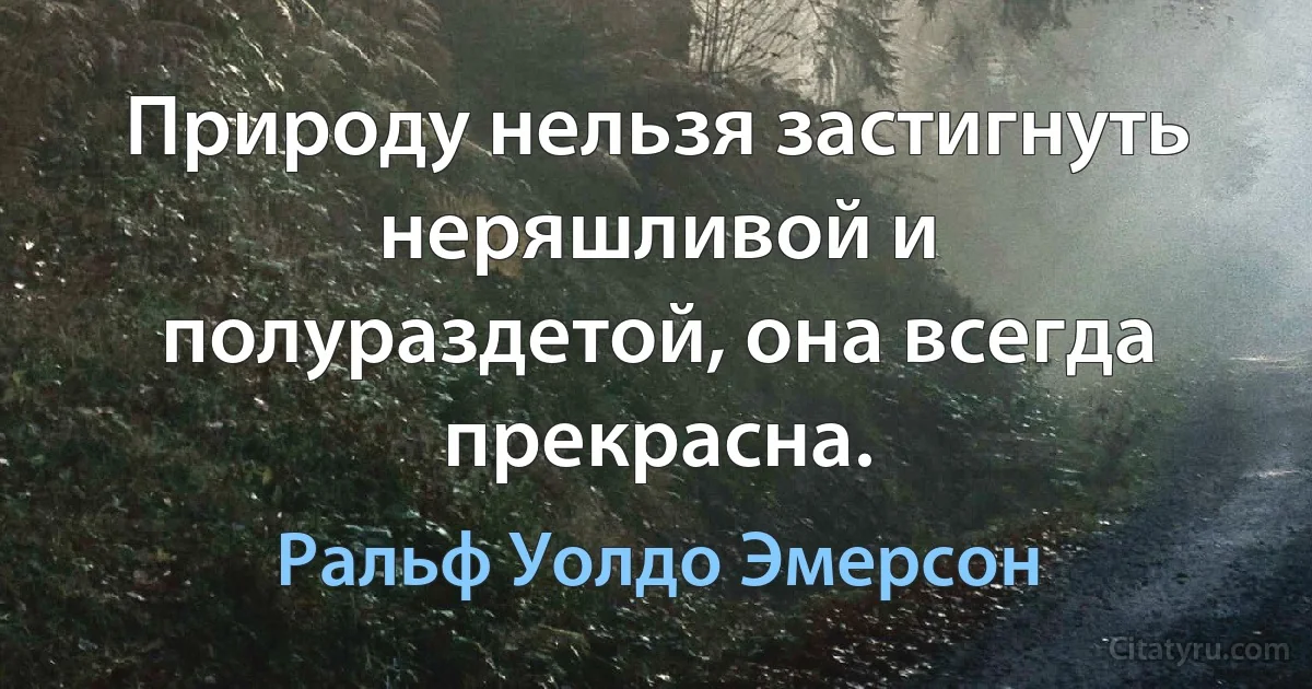 Природу нельзя застигнуть неряшливой и полураздетой, она всегда прекрасна. (Ральф Уолдо Эмерсон)