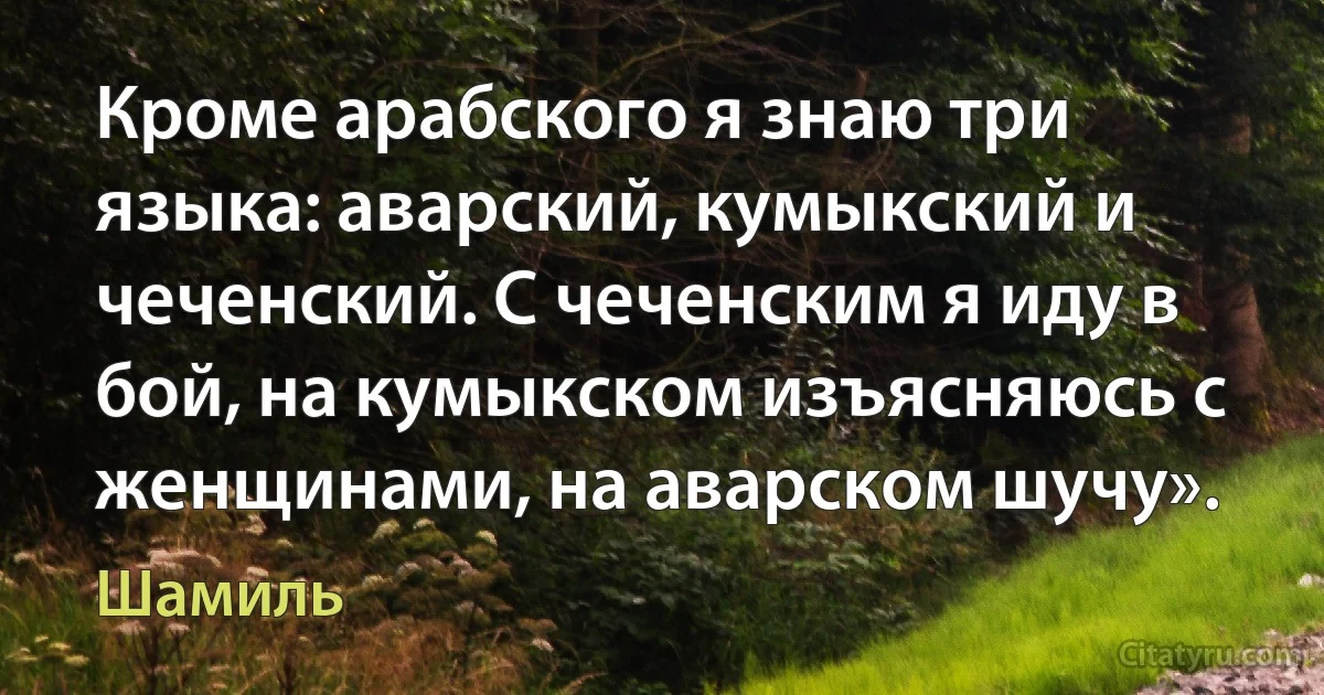 Кроме арабского я знаю три языка: аварский, кумыкский и чеченский. С чеченским я иду в бой, на кумыкском изъясняюсь с женщинами, на аварском шучу». (Шамиль)