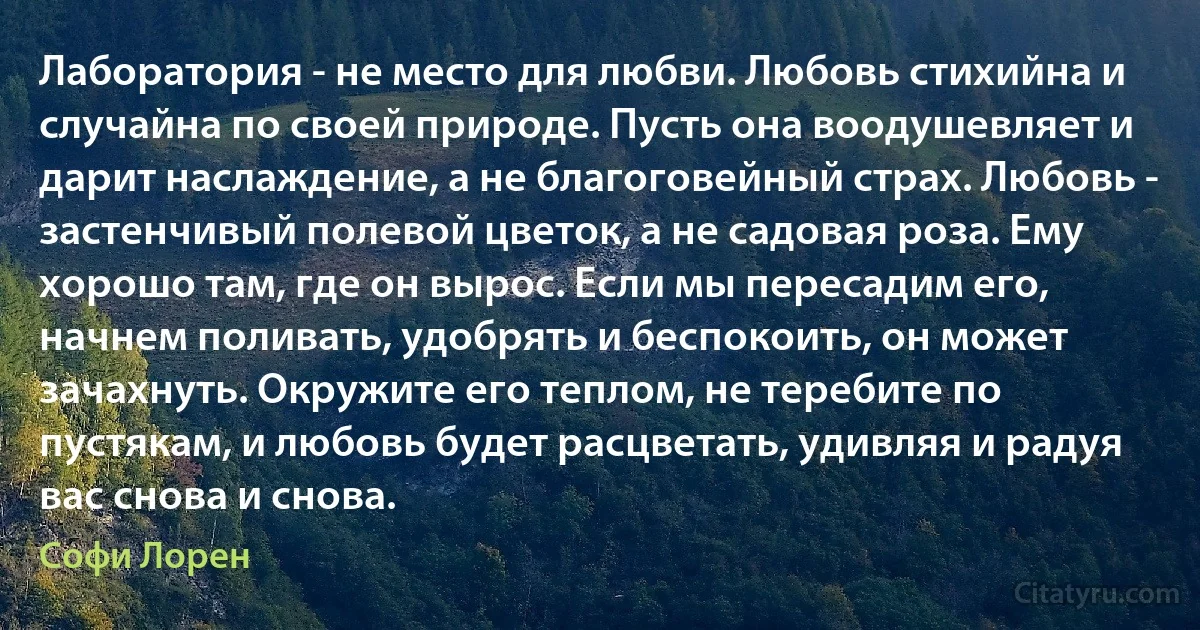 Лаборатория - не место для любви. Любовь стихийна и случайна по своей природе. Пусть она воодушевляет и дарит наслаждение, а не благоговейный страх. Любовь - застенчивый полевой цветок, а не садовая роза. Ему хорошо там, где он вырос. Если мы пересадим его, начнем поливать, удобрять и беспокоить, он может зачахнуть. Окружите его теплом, не теребите по пустякам, и любовь будет расцветать, удивляя и радуя вас снова и снова. (Софи Лорен)