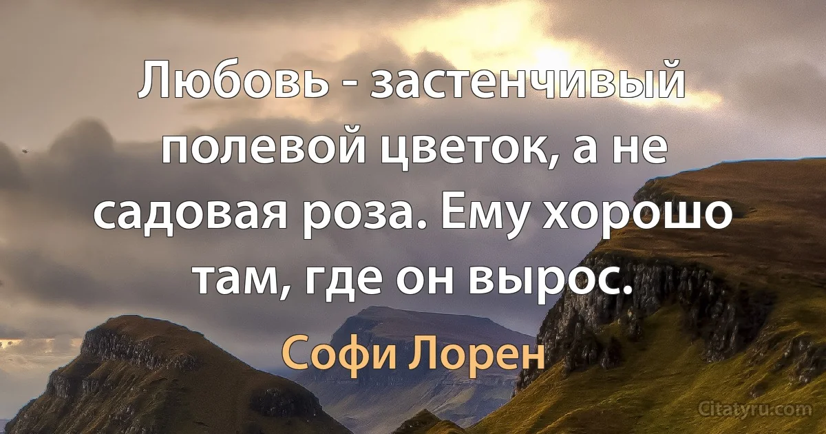 Любовь - застенчивый полевой цветок, а не садовая роза. Ему хорошо там, где он вырос. (Софи Лорен)