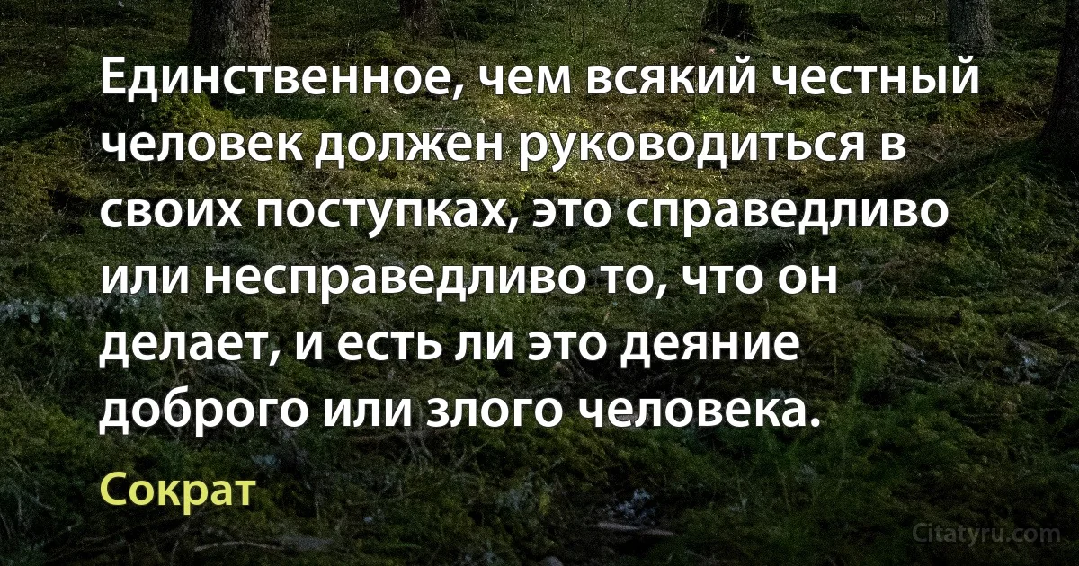 Единственное, чем всякий честный человек должен руководиться в своих поступках, это справедливо или несправедливо то, что он делает, и есть ли это деяние доброго или злого человека. (Сократ)