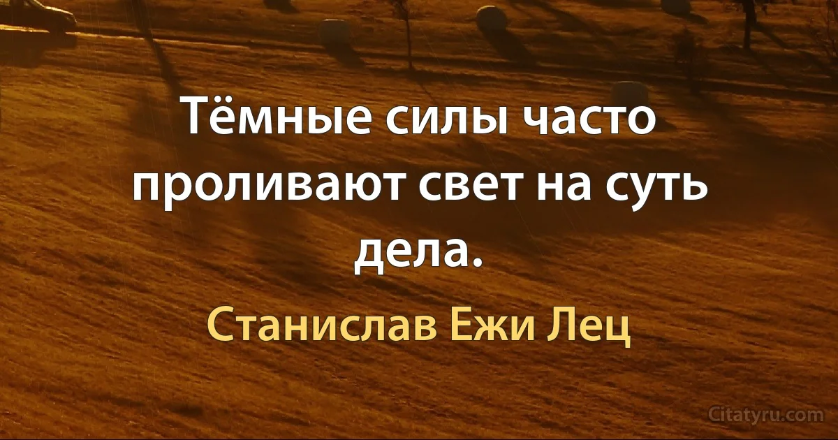 Тёмные силы часто проливают свет на суть дела. (Станислав Ежи Лец)