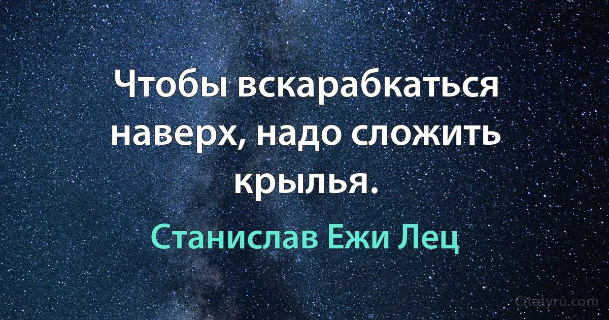 Чтобы вскарабкаться наверх, надо сложить крылья. (Станислав Ежи Лец)