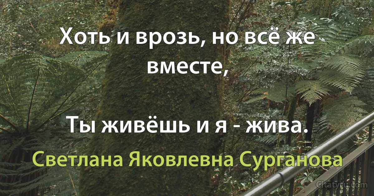 Хоть и врозь, но всё же вместе,

Ты живёшь и я - жива. (Светлана Яковлевна Сурганова)