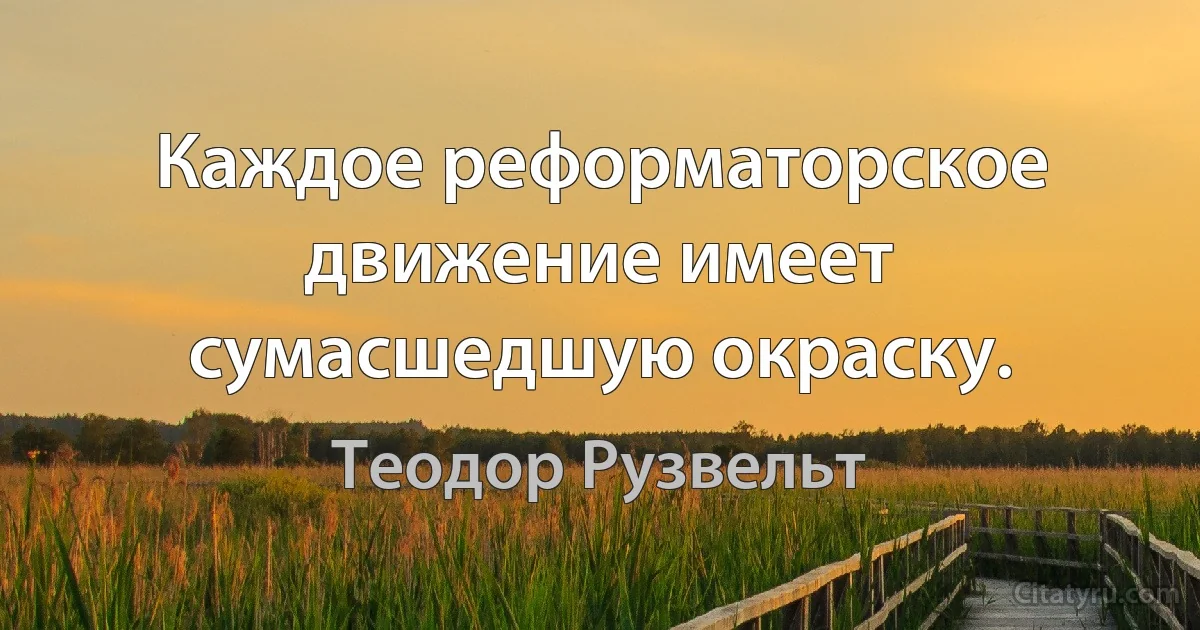 Каждое реформаторское движение имеет сумасшедшую окраску. (Теодор Рузвельт)