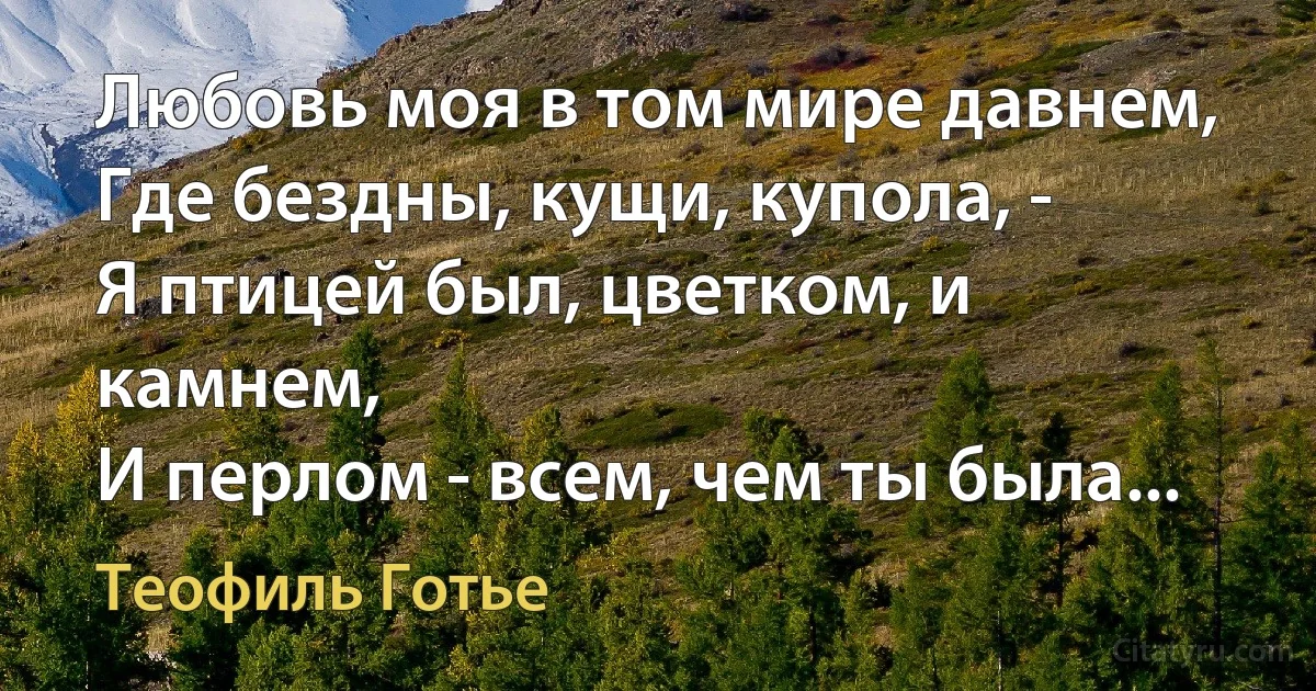 Любовь моя в том мире давнем,
Где бездны, кущи, купола, -
Я птицей был, цветком, и камнем,
И перлом - всем, чем ты была... (Теофиль Готье)