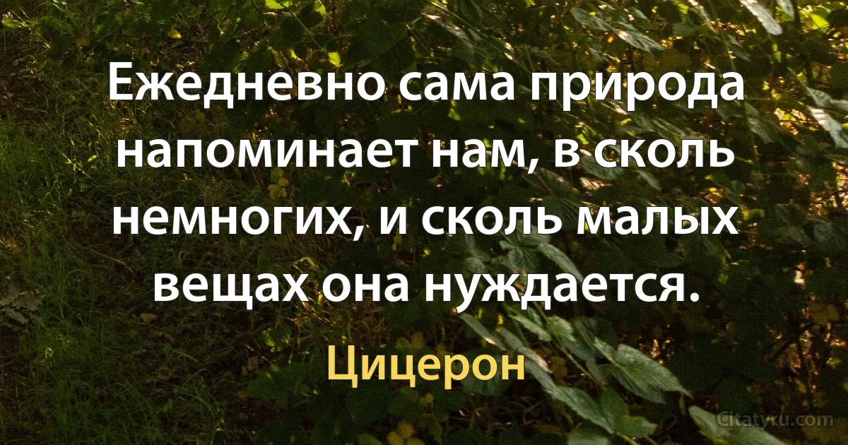 Ежедневно сама природа напоминает нам, в сколь немногих, и сколь малых вещах она нуждается. (Цицерон)