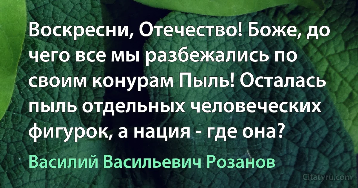 Воскресни, Отечество! Боже, до чего все мы разбежались по своим конурам Пыль! Осталась пыль отдельных человеческих фигурок, а нация - где она? (Василий Васильевич Розанов)