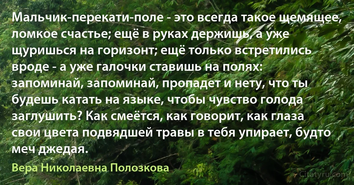 Мальчик-перекати-поле - это всегда такое щемящее, ломкое счастье; ещё в руках держишь, а уже щуришься на горизонт; ещё только встретились вроде - а уже галочки ставишь на полях: запоминай, запоминай, пропадет и нету, что ты будешь катать на языке, чтобы чувство голода заглушить? Как смеётся, как говорит, как глаза свои цвета подвядшей травы в тебя упирает, будто меч джедая. (Вера Николаевна Полозкова)